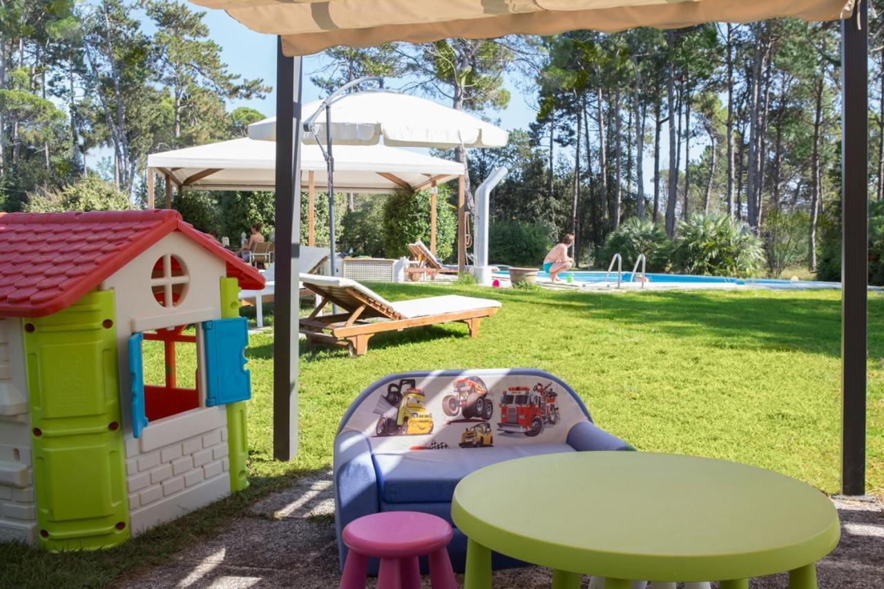 Guest house Park 5*