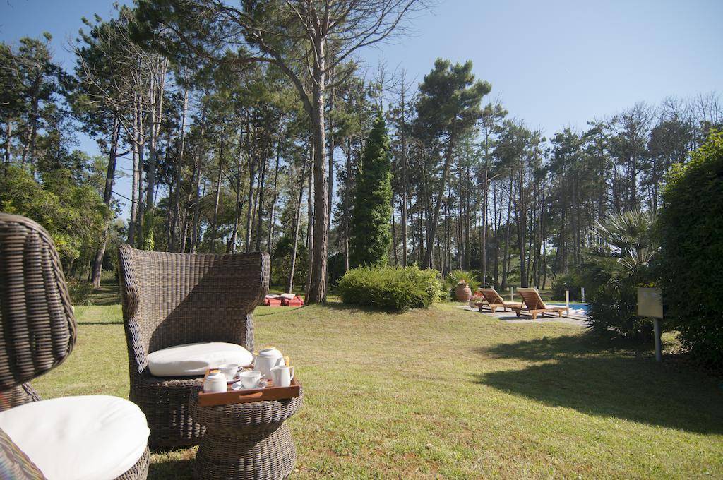 Park Guest house 5*